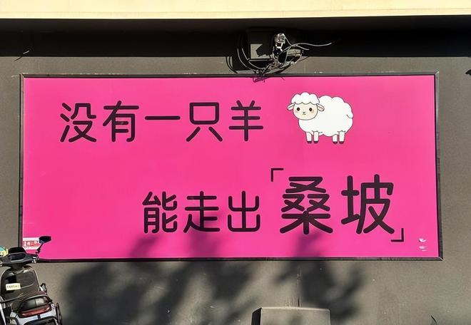只要60元棉鞋卖断货代购赚得盆满钵满K8凯发天生赢家桑坡村有多便宜巴宝莉(图2)